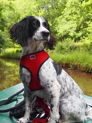 Kim Thomson and Pepper